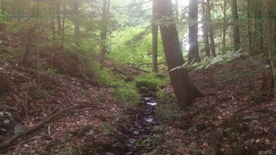 0 Breakneck Hill Rd, Charlestown, NH 03603 - photo 4