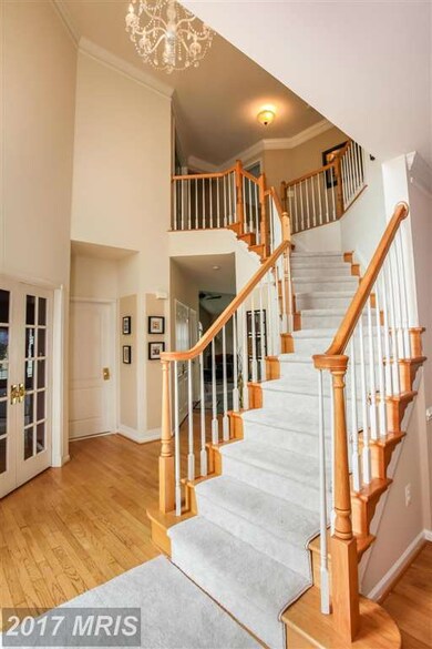 42667 Leaflet Ln, Chantilly, VA 20152 - photo 6