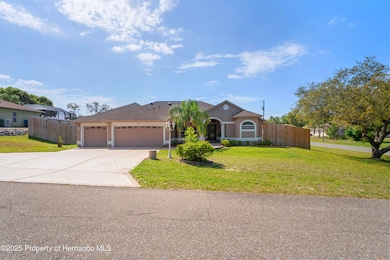 photos_high_resolution_001_Front