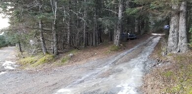 Rutzebeck Rd