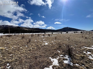 11893 Colorado 67, Divide, CO 80814 - photo 5