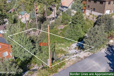 12617 N Ajo Ave, Mt. Lemmon, AZ 85619 - photo 4