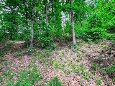 Elk River Rd unit Lot WP001, Procious, WV 25164 - photo 3