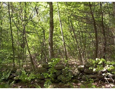 78 Torrey Rd, Sutton, MA 01590 - photo 3