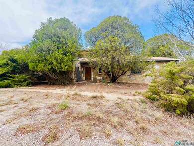 802 E Greene St, Carlsbad, NM 88220 - photo 6