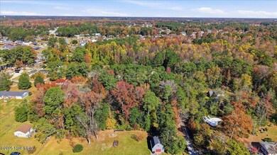 Lot 1 & 2 Perkins St, Goldsboro, NC 27530 - photo 6