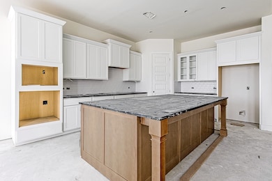 149 Peninsula Point Dr, Montgomery, TX 77356 - photo 3