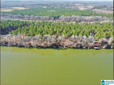 650 & 651 Liberty Shores Blvd unit Lot 9C, Vincent, AL 35178 - photo 2