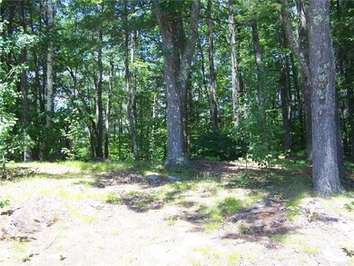 Wooded backyard.