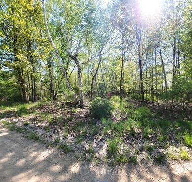 Lot 3