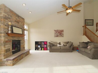 Vaulted Great Room