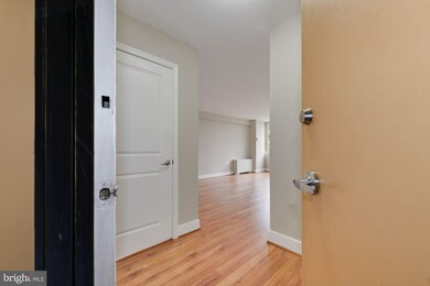 Mica Condominiums unit 204, Silver Spring, MD 20910 - photo 5