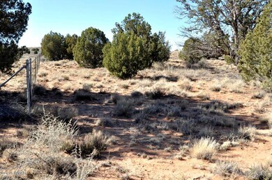 NE corner