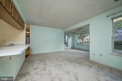 14202 Valleyfield Dr unit 3, Silver Spring, MD 20906 - photo 6