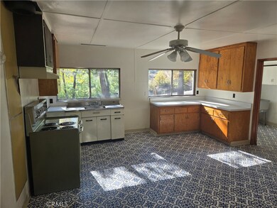 1171 Bald Rock Rd, Berry Creek, CA 95916 - photo 5