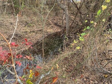 2011 N Lake Dr, Weatherford, TX 76085 - photo 5