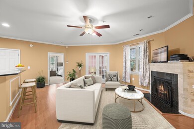 302 Wyndham Cir unit 302B, Owings Mills, MD 21117 - photo 3