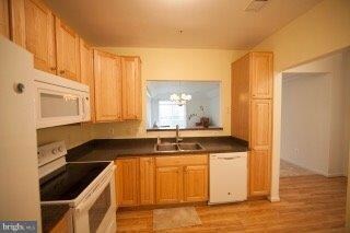 8615 Fluttering Leaf Trail unit 408, Odenton, MD 21113 - photo 6