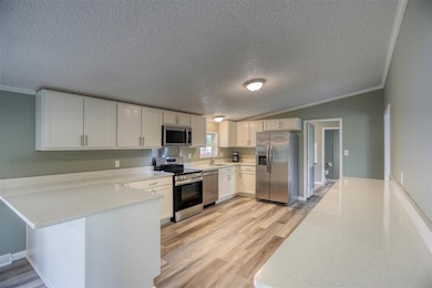 1834 Oak Grove Church Rd, Adolphus, KY 42120 - photo 2