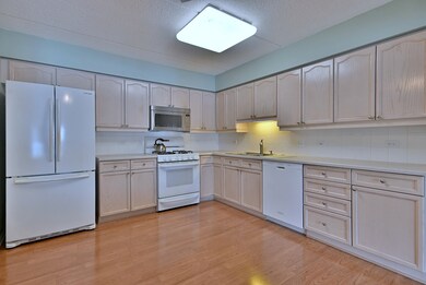 7091 W Touhy Ave unit 209, Niles, IL 60714 - photo 3