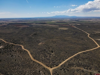 TBDWP Secret Canyon, Dove Creek, CO 81324 - photo 4