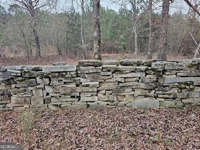 730 Osley Mill Rd, Carlton, GA 30627 - photo 6