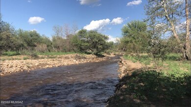 IMG_9233
