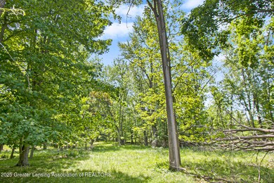 2550 Webster Rd, Lansing, MI 48917 - photo 5