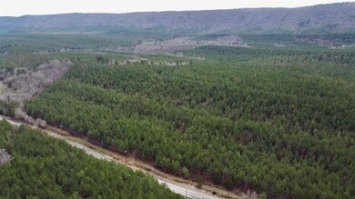 Drone / aerial view featuring a mountain view