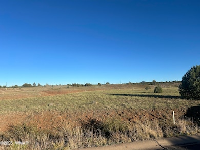 1081 S Ridgeway Place, Show Low, AZ 85901 - photo 3