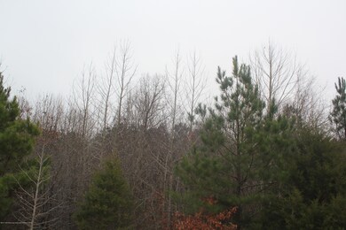 88 Bennett Cir, Byhalia, MS 38611 - photo 6