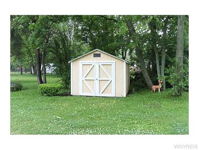 Shed