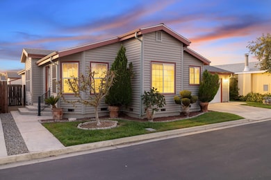 41-web-or-mls-713A1010