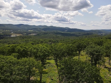 0 Denio Rd unit 24587948, Barnet, VT 05819 - photo 7