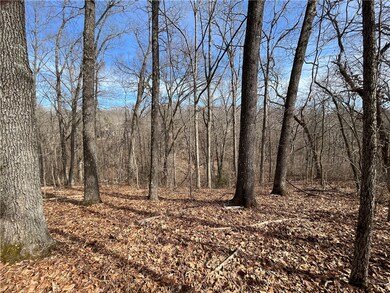 0 Hollow Way Dr, Bella Vista, AR 72715 - photo 4