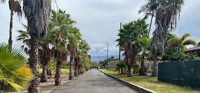 83 W Kapu Place, Kihei, HI 96753 - photo 6