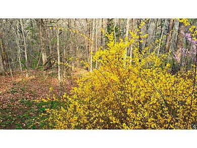 9 Grisham Ln, Bella Vista, AR 72715 - photo 5