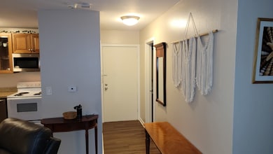 1810 Hemlock Place unit 209, Schaumburg, IL 60173 - photo 4