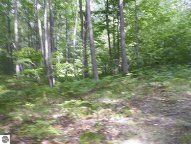 NA Canton Trail, West Branch, MI 48661 - photo 2