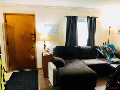 524 Carney Ave, Mankato, MN 56001 - photo 5