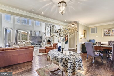 23137 Tail Race Rd, Aldie, VA 20105 - photo 6