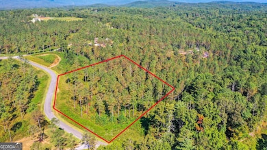 13 Poetic Ct, Ellijay, GA 30540 - photo 6