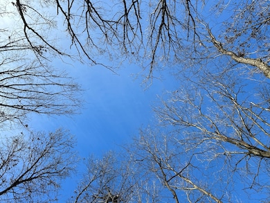 13721 W 167th St, Lockport, IL 60491 - photo 3