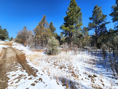 0 Private Drive 1781a, Los Ojos, NM 87551 - photo 6
