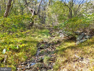 0 Rocky Ln, Huntly, VA 22640 - photo 7