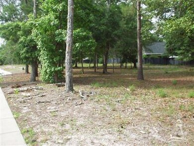 0 Devaun Park Blvd, Calabash, NC 28467 - photo 3