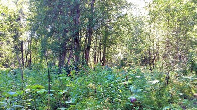 10854 Susitna River Rd, Trapper Creek, AK 99683 - photo 2