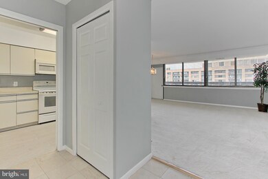 5501 Seminary Rd unit 2401S, Baileys Crossroads, VA 22041 - photo 5