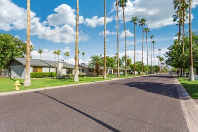Palm Lined street
