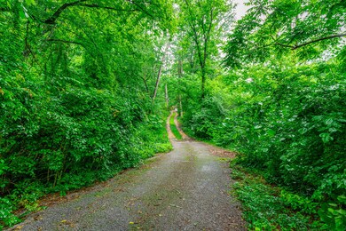 321 Elderberry Lane HD-1